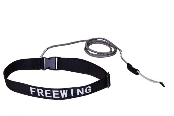 FreeWing Go V2 mit Fenster – Bild 4