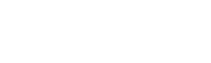 Sroka_logo